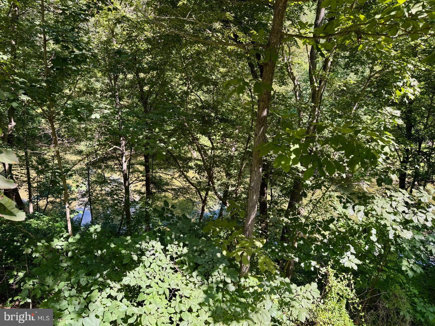 374 BOYERS MILL LN, MIDDLETOWN, Virginia 22645, 3 Bedrooms Bedrooms, 12 Rooms Rooms,2 BathroomsBathrooms,Residential,For sale,374 BOYERS MILL LN,VAFV2036450 MLS # VAFV2036450