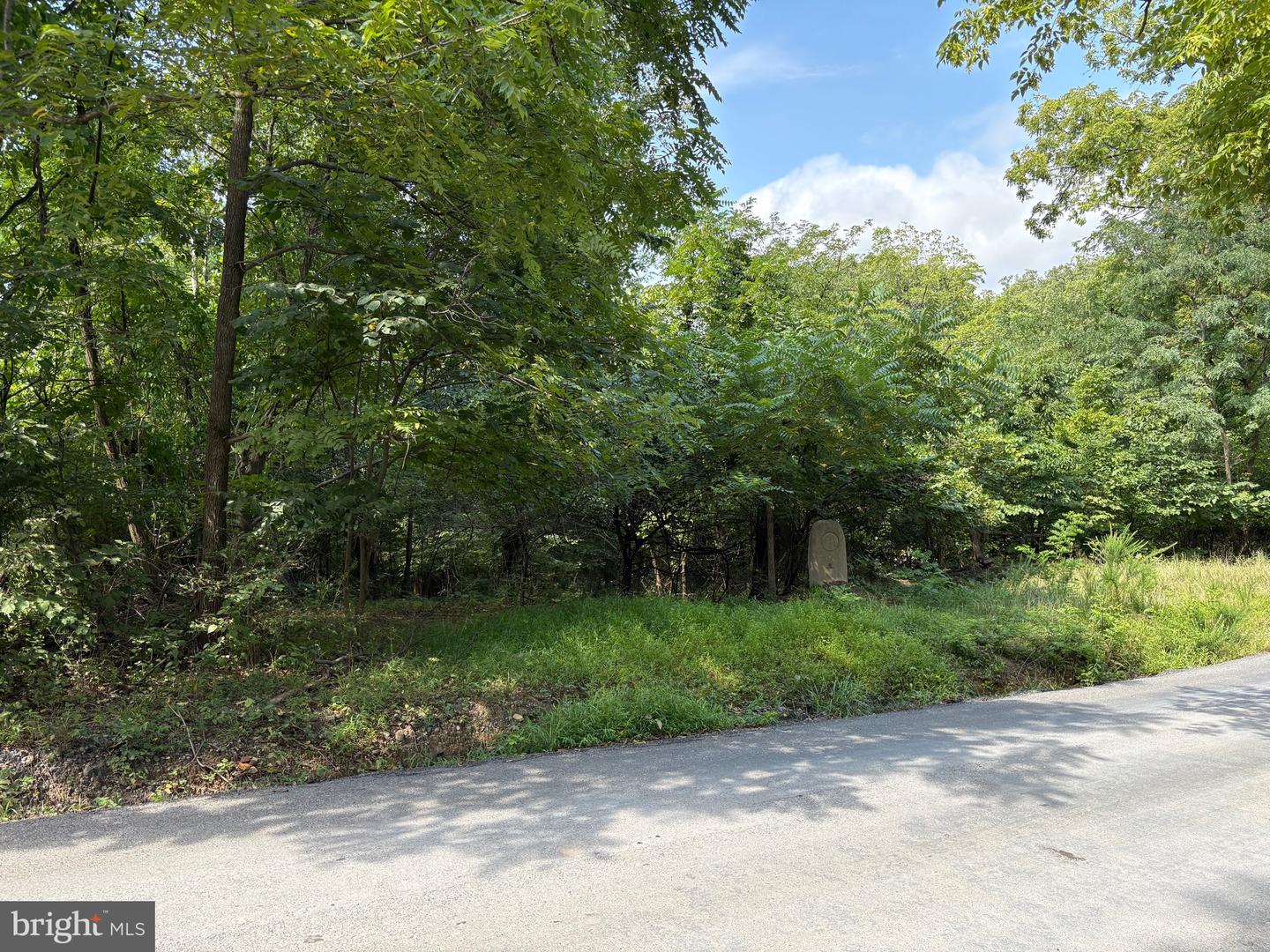 DRUMMER HILL RD, FRONT ROYAL, Virginia 22630, ,Land,For sale,DRUMMER HILL RD,VAWR2012074 MLS # VAWR2012074