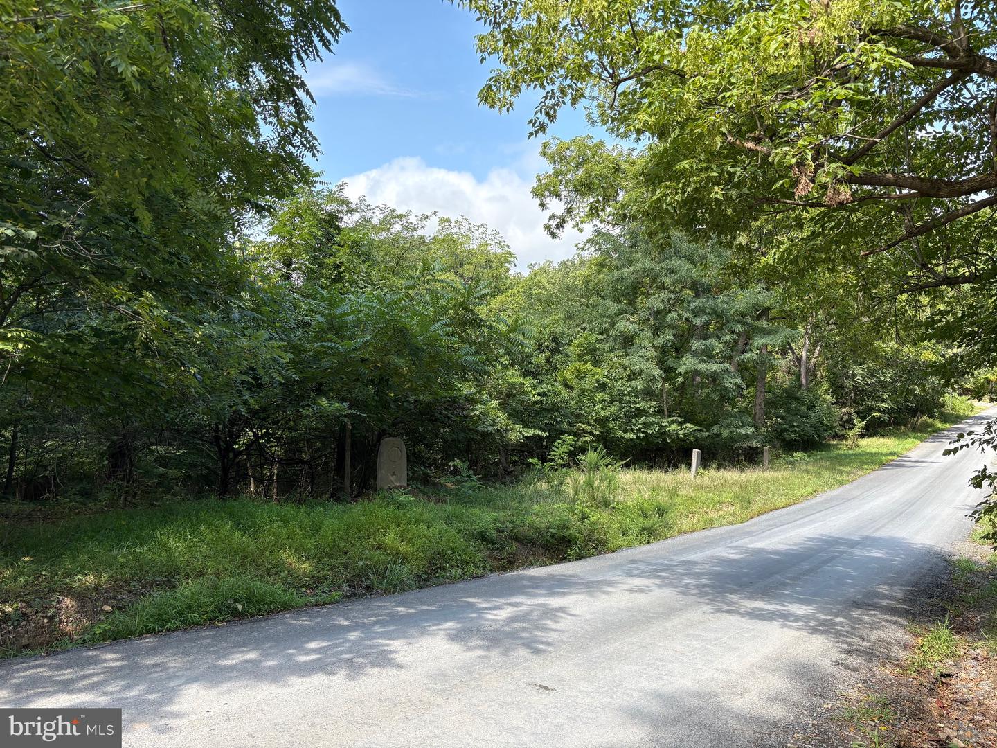 DRUMMER HILL RD, FRONT ROYAL, Virginia 22630, ,Land,For sale,DRUMMER HILL RD,VAWR2012074 MLS # VAWR2012074
