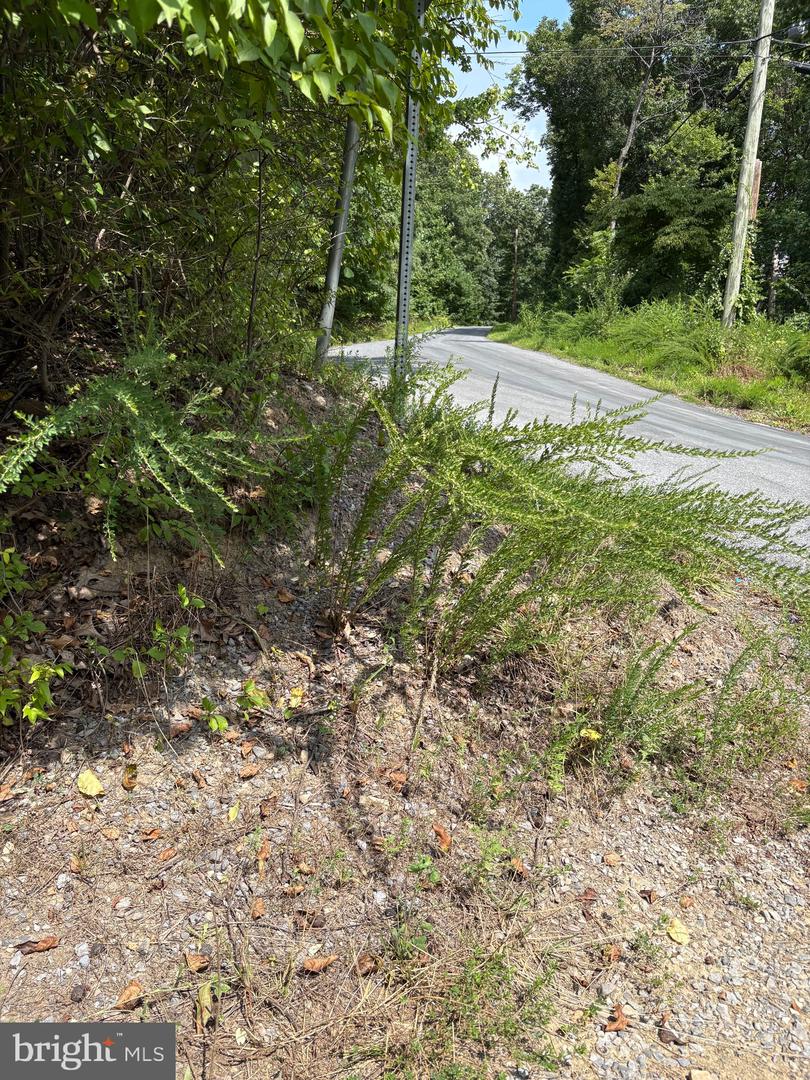 DRUMMER HILL RD, FRONT ROYAL, Virginia 22630, ,Land,For sale,DRUMMER HILL RD,VAWR2012074 MLS # VAWR2012074