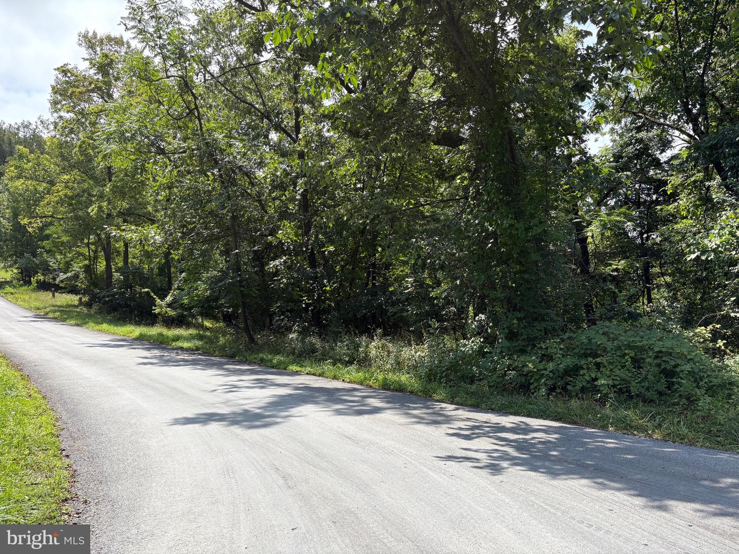 DRUMMER HILL RD, FRONT ROYAL, Virginia 22630, ,Land,For sale,DRUMMER HILL RD,VAWR2012074 MLS # VAWR2012074