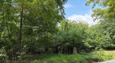 DRUMMER HILL RD, FRONT ROYAL, Virginia 22630, ,Land,For sale,DRUMMER HILL RD,VAWR2012074 MLS # VAWR2012074