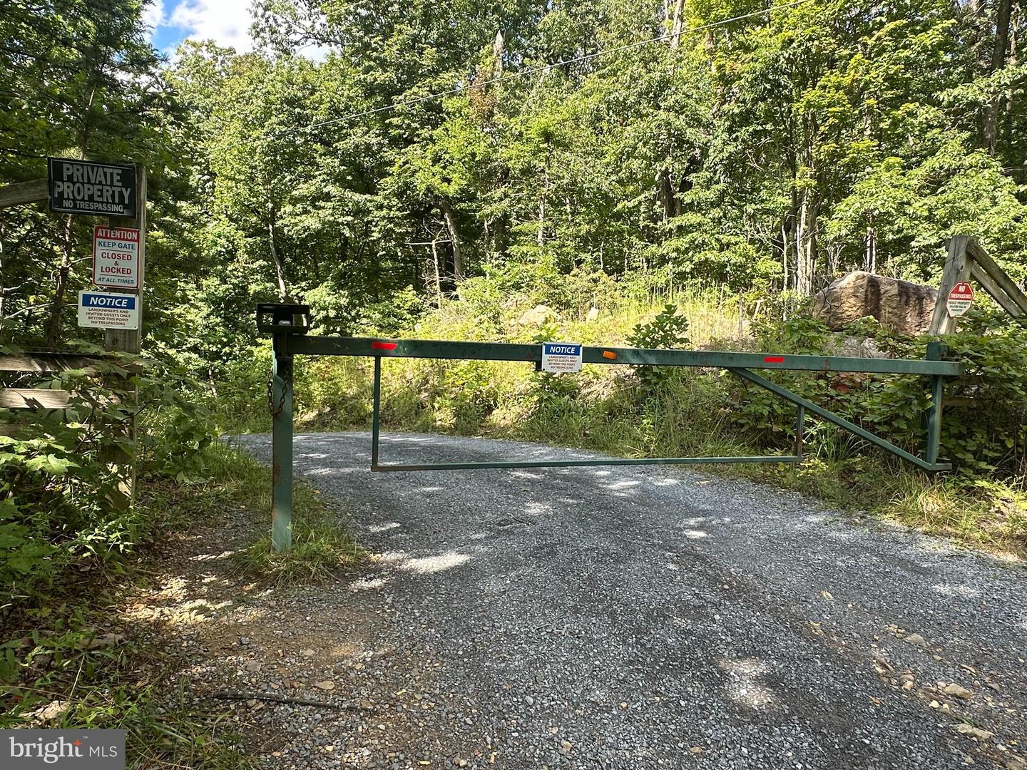 LOT 13 GREAT MOUNTAIN LN, WINCHESTER, Virginia 22602, ,Farm,For sale,LOT 13 GREAT MOUNTAIN LN,VAFV2036432 MLS # VAFV2036432