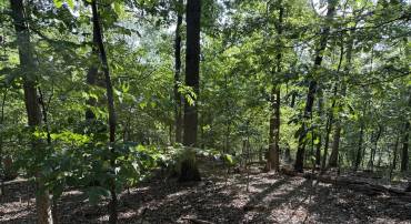 LOT 562 OVERBROOK LN, FRONT ROYAL, Virginia 22630, ,Land,For sale,LOT 562 OVERBROOK LN,VAWR2012154 MLS # VAWR2012154