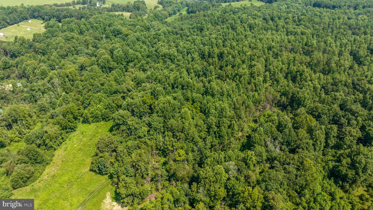 HUNTERS RIDGE LN, UNIONVILLE, Virginia 22567, ,Land,For sale,HUNTERS RIDGE LN,VAOR2010634 MLS # VAOR2010634