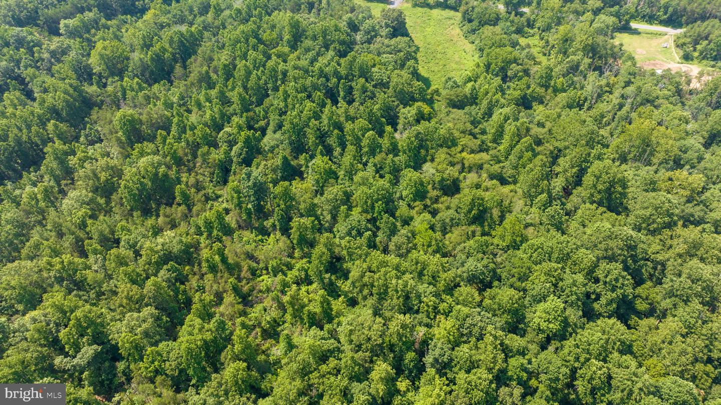 HUNTERS RIDGE LN, UNIONVILLE, Virginia 22567, ,Land,For sale,HUNTERS RIDGE LN,VAOR2010634 MLS # VAOR2010634