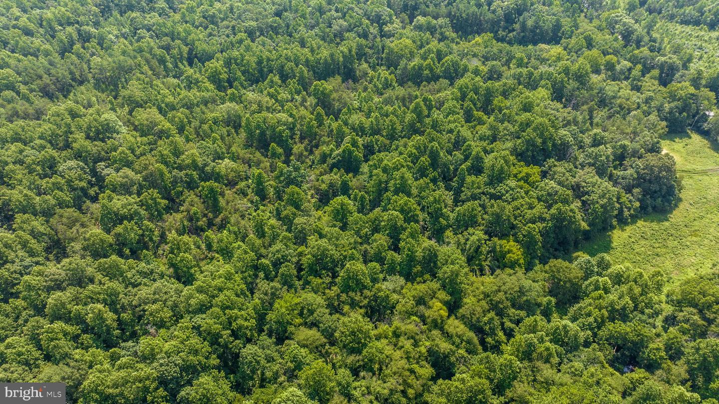 HUNTERS RIDGE LN, UNIONVILLE, Virginia 22567, ,Land,For sale,HUNTERS RIDGE LN,VAOR2010634 MLS # VAOR2010634