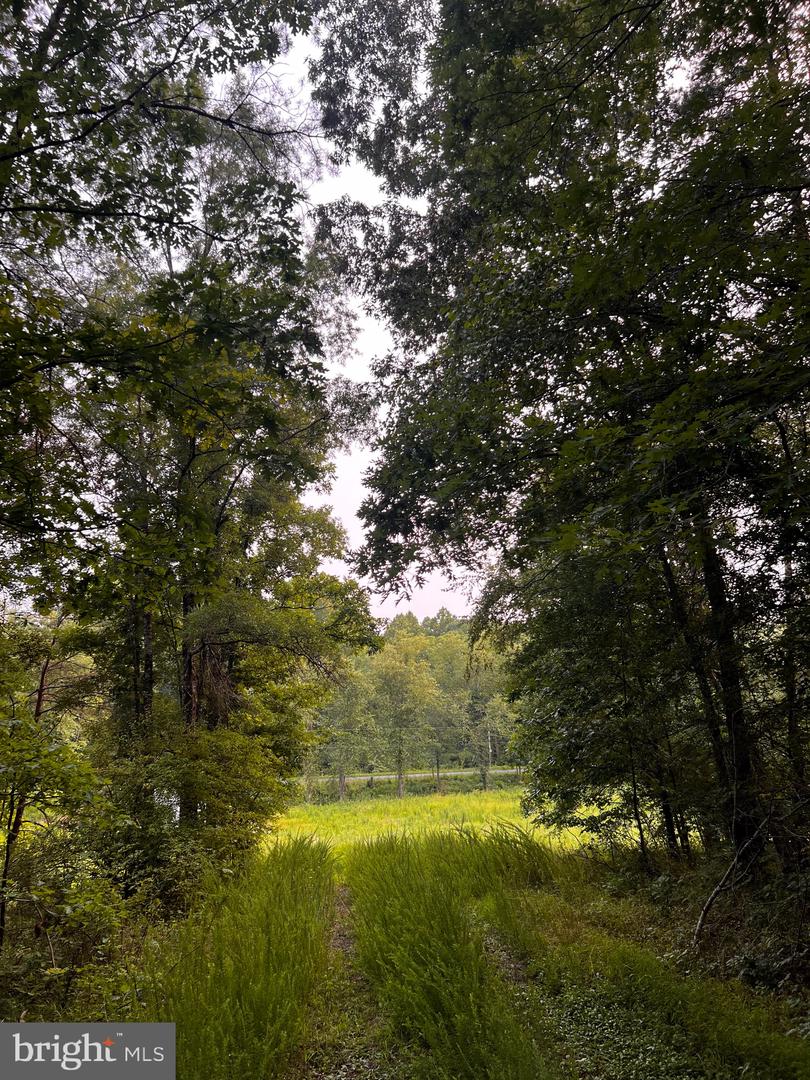 HUNTERS RIDGE LN, UNIONVILLE, Virginia 22567, ,Land,For sale,HUNTERS RIDGE LN,VAOR2010634 MLS # VAOR2010634