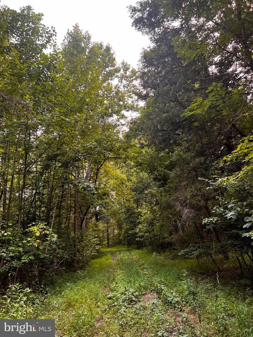 HUNTERS RIDGE LN, UNIONVILLE, Virginia 22567, ,Land,For sale,HUNTERS RIDGE LN,VAOR2010634 MLS # VAOR2010634