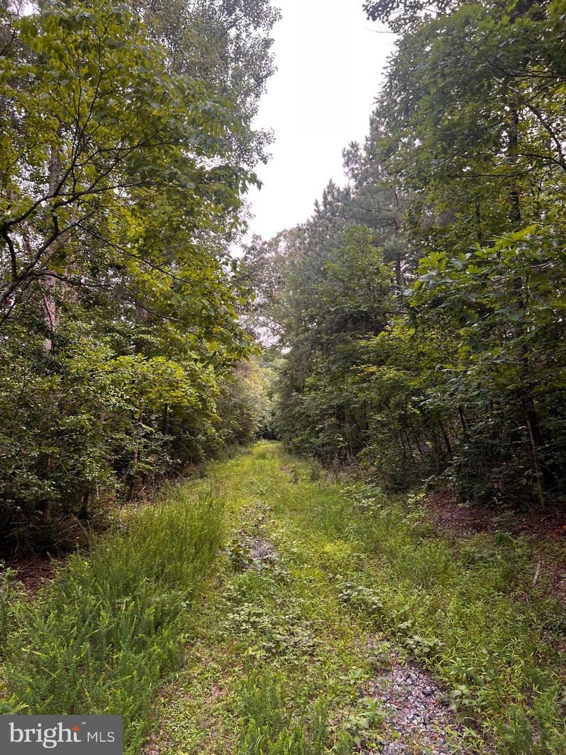 HUNTERS RIDGE LN, UNIONVILLE, Virginia 22567, ,Land,For sale,HUNTERS RIDGE LN,VAOR2010634 MLS # VAOR2010634