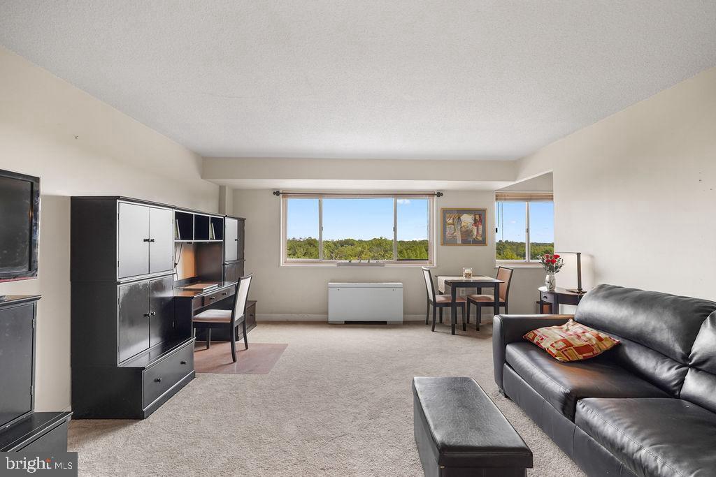 2500 N VAN DORN ST #517, ALEXANDRIA, Virginia 22302, 1 Room Rooms,1 BathroomBathrooms,Residential,For sale,2500 N VAN DORN ST #517,VAAX2048090 MLS # VAAX2048090