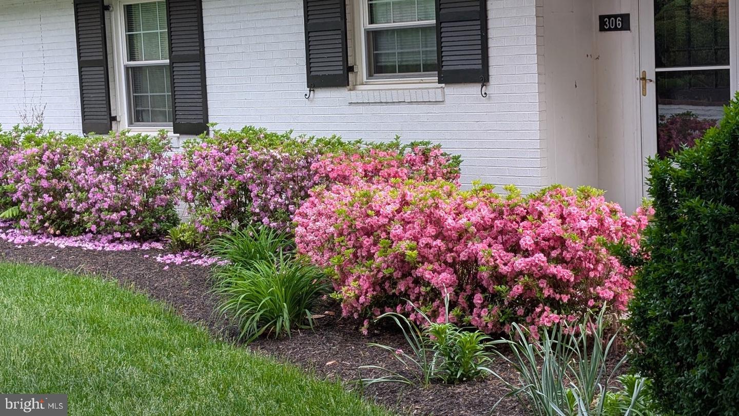 306 STUYVESANT ST, WARRENTON, Virginia 20186, 3 Bedrooms Bedrooms, 13 Rooms Rooms,2 BathroomsBathrooms,Residential,For sale,306 STUYVESANT ST,VAFQ2017982 MLS # VAFQ2017982