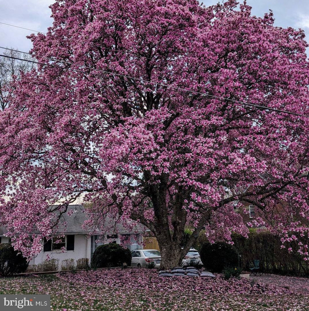 306 STUYVESANT ST, WARRENTON, Virginia 20186, 3 Bedrooms Bedrooms, 13 Rooms Rooms,2 BathroomsBathrooms,Residential,For sale,306 STUYVESANT ST,VAFQ2017982 MLS # VAFQ2017982