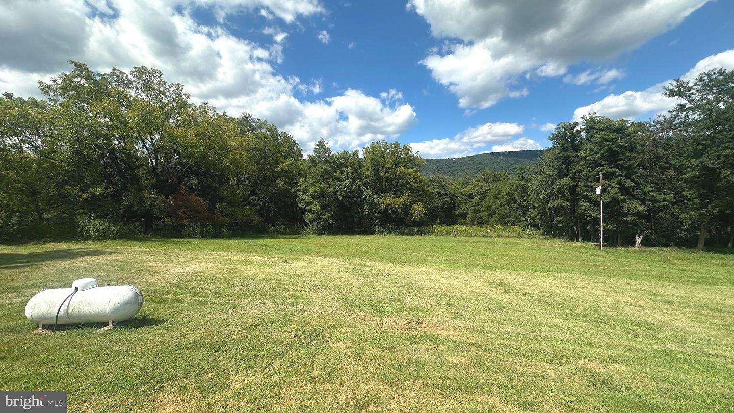 9715 BACK RD, MAURERTOWN, Virginia 22644, 2 Bedrooms Bedrooms, ,1 BathroomBathrooms,Residential,For sale,9715 BACK RD,VASH2012298 MLS # VASH2012298 9715 BACK RD, MAURERTOWN, Virginia 22644, 2 Bedrooms Bedrooms, ,1 BathroomBathrooms,Residential,For sale,9715 BACK RD,VASH2012298 MLS # VASH2012298