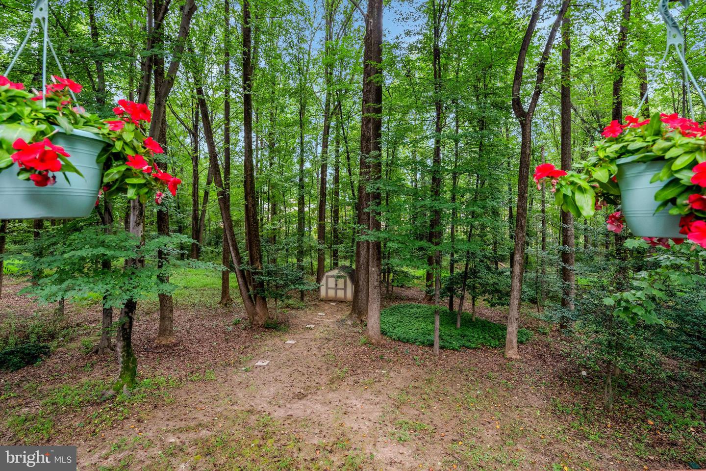 11181 LONGWOOD GROVE DR, RESTON, Virginia 20194, 5 Bedrooms Bedrooms, 18 Rooms Rooms,3 BathroomsBathrooms,Residential,For sale,11181 LONGWOOD GROVE DR,VAFX2262702 MLS # VAFX2262702