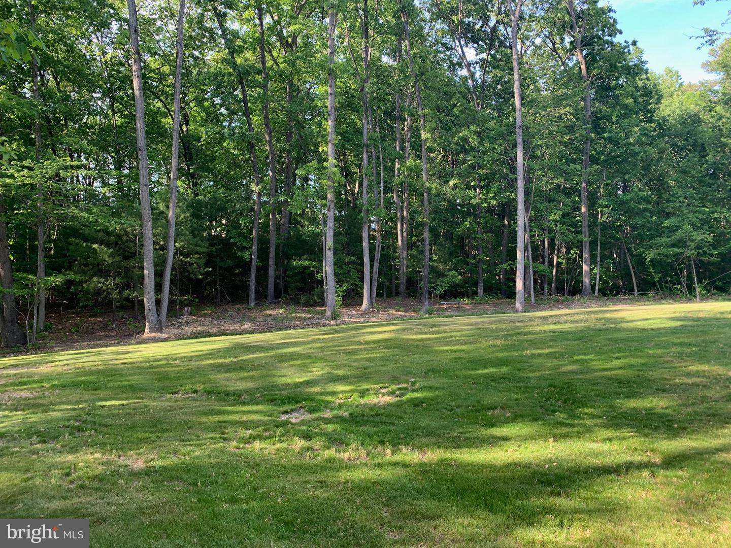 3213 OLD TANBARK ROAD, LURAY, Virginia 22835, 4 Bedrooms Bedrooms, 5 Rooms Rooms,2 BathroomsBathrooms,Residential,For sale,3213 OLD TANBARK ROAD,VAPA2005302 MLS # VAPA2005302