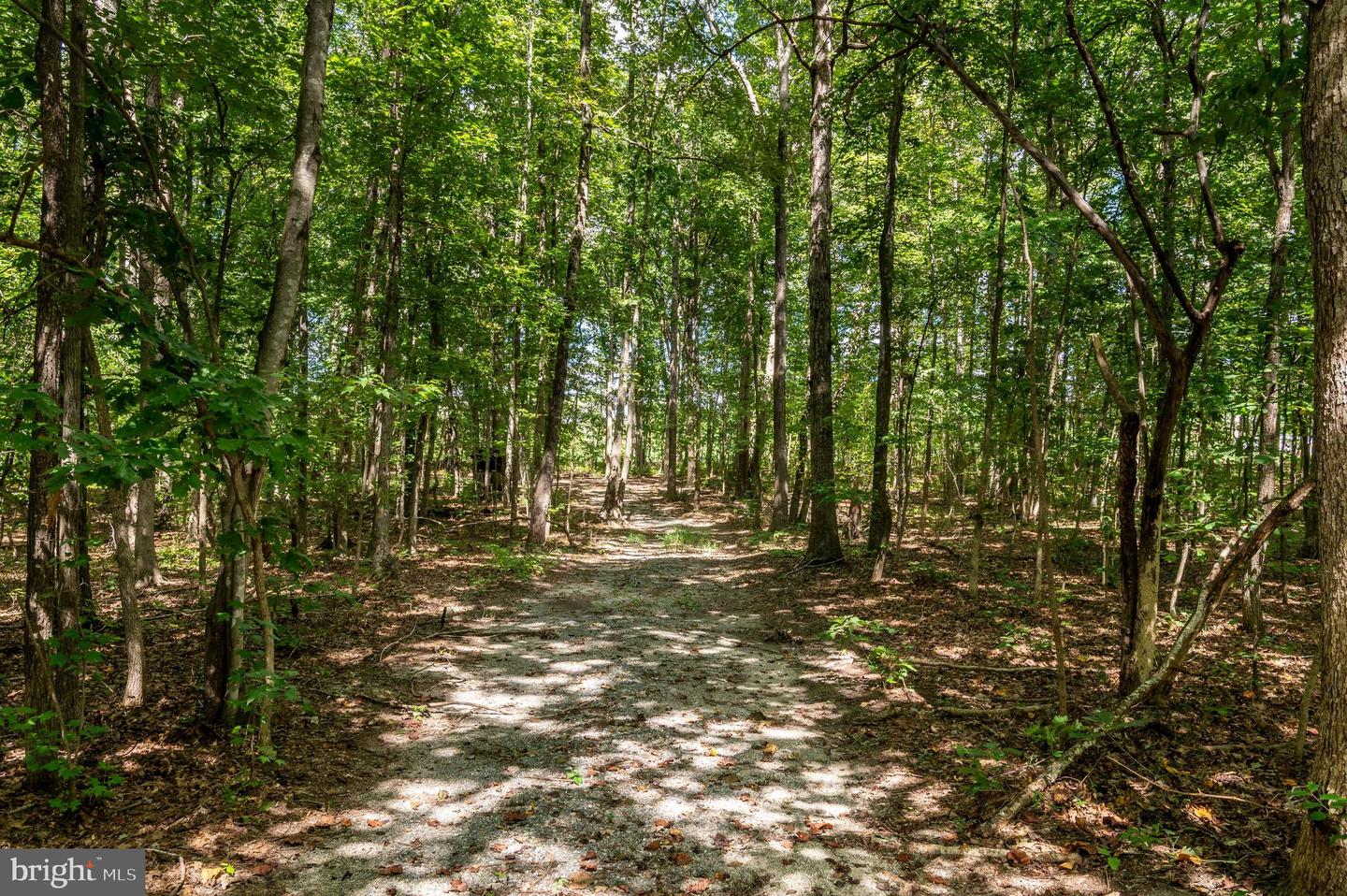 3255 HAZEL LN, GOOCHLAND, Virginia 23063, 3 Bedrooms Bedrooms, ,2 BathroomsBathrooms,Residential,For sale,3255 HAZEL LN,VAGO2000392 MLS # VAGO2000392