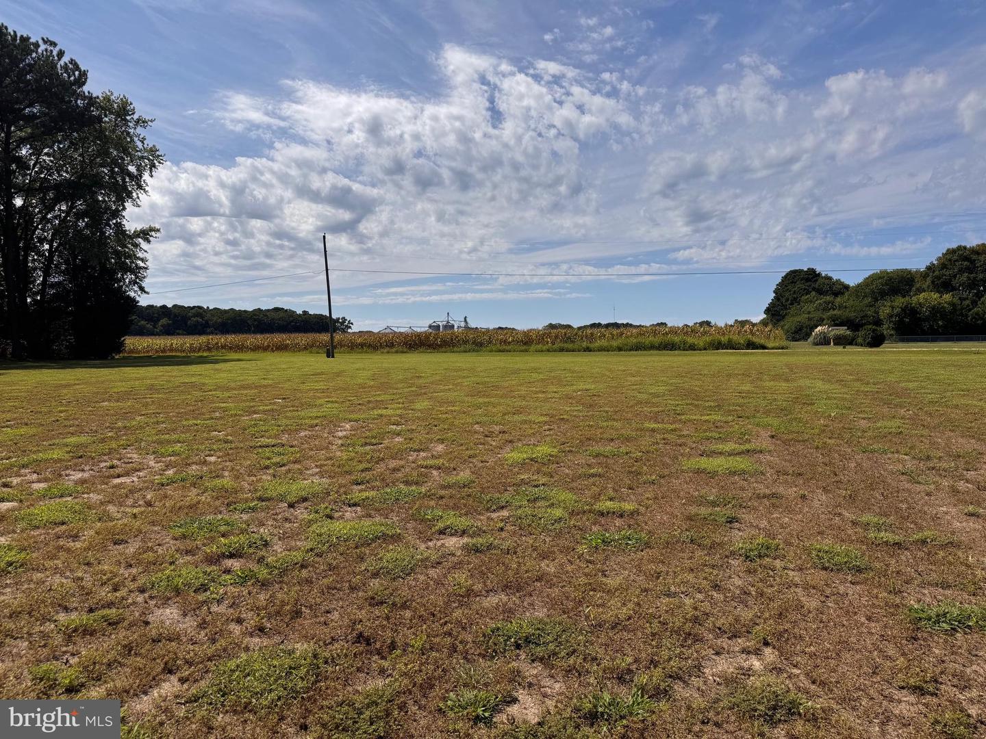 LOT 98C WALLACE LN, PARKSLEY, Virginia 23421, ,Land,For sale,LOT 98C WALLACE LN,VAAC2002202 MLS # VAAC2002202