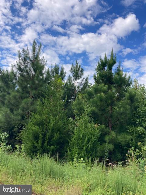 KELLY RD, KINSALE, Virginia 22488, ,Land,For sale,KELLY RD,VAWE2009662 MLS # VAWE2009662