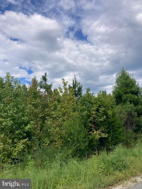 KELLY RD, KINSALE, Virginia 22488, ,Land,For sale,KELLY RD,VAWE2009662 MLS # VAWE2009662
