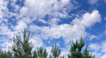 KELLY RD, KINSALE, Virginia 22488, ,Land,For sale,KELLY RD,VAWE2009662 MLS # VAWE2009662
