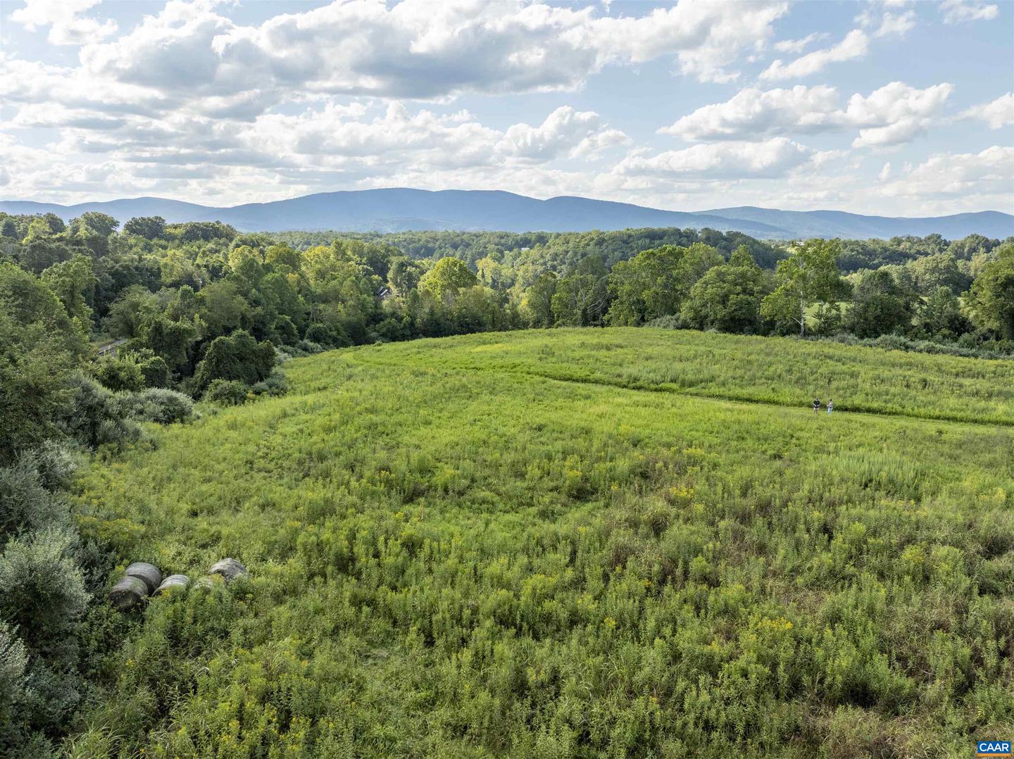 LOT 5 GILLUMS RIDGE RD, CHARLOTTESVILLE, Virginia 22903, ,Land,For sale,LOT 5 GILLUMS RIDGE RD,668469 MLS # 668469