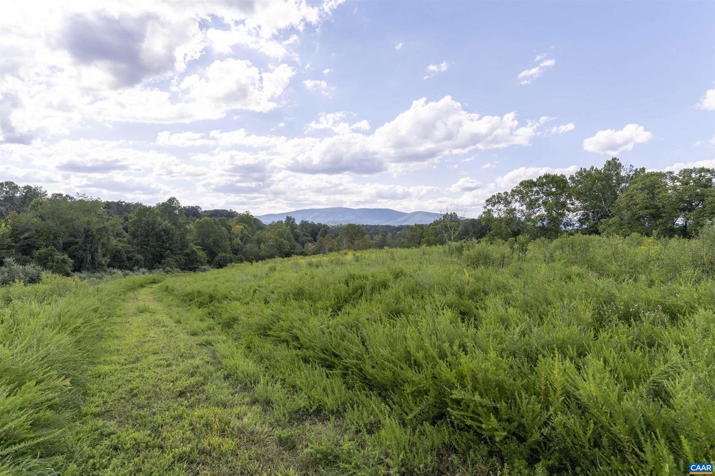 LOT 5 GILLUMS RIDGE RD, CHARLOTTESVILLE, Virginia 22903, ,Land,For sale,LOT 5 GILLUMS RIDGE RD,668469 MLS # 668469
