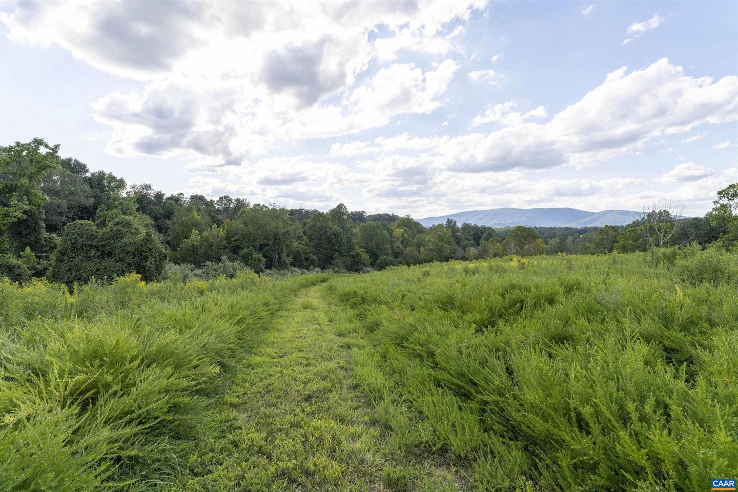 LOT 5 GILLUMS RIDGE RD, CHARLOTTESVILLE, Virginia 22903, ,Land,For sale,LOT 5 GILLUMS RIDGE RD,668469 MLS # 668469