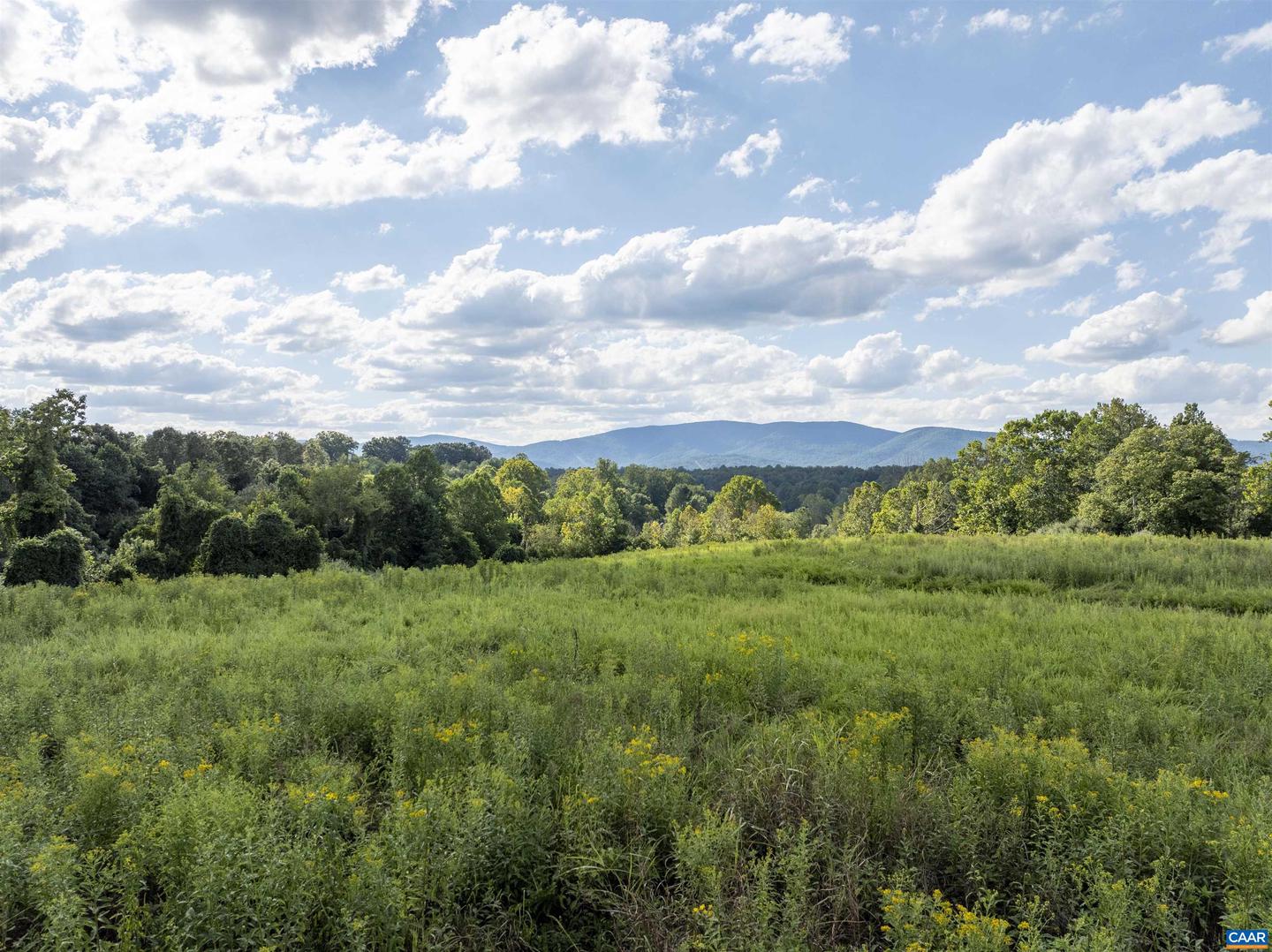 LOT 5 GILLUMS RIDGE RD, CHARLOTTESVILLE, Virginia 22903, ,Land,For sale,LOT 5 GILLUMS RIDGE RD,668469 MLS # 668469