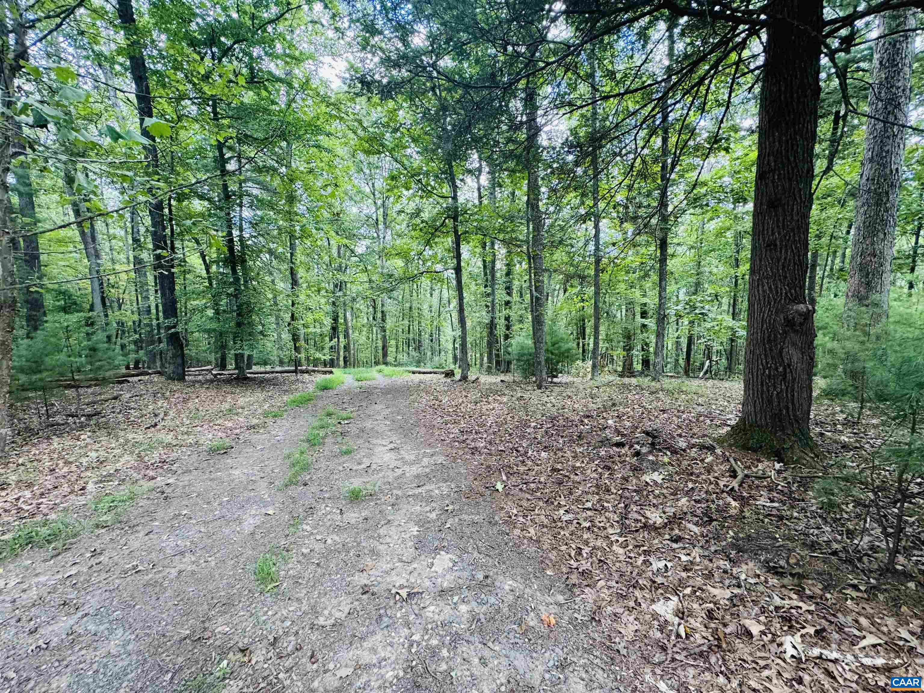 1331 MILLARD BURKE MEMORIAL HWY, GOSHEN, Virginia 24439, 3 Bedrooms Bedrooms, ,3 BathroomsBathrooms,Residential,1331 MILLARD BURKE MEMORIAL HWY,668462 MLS # 668462