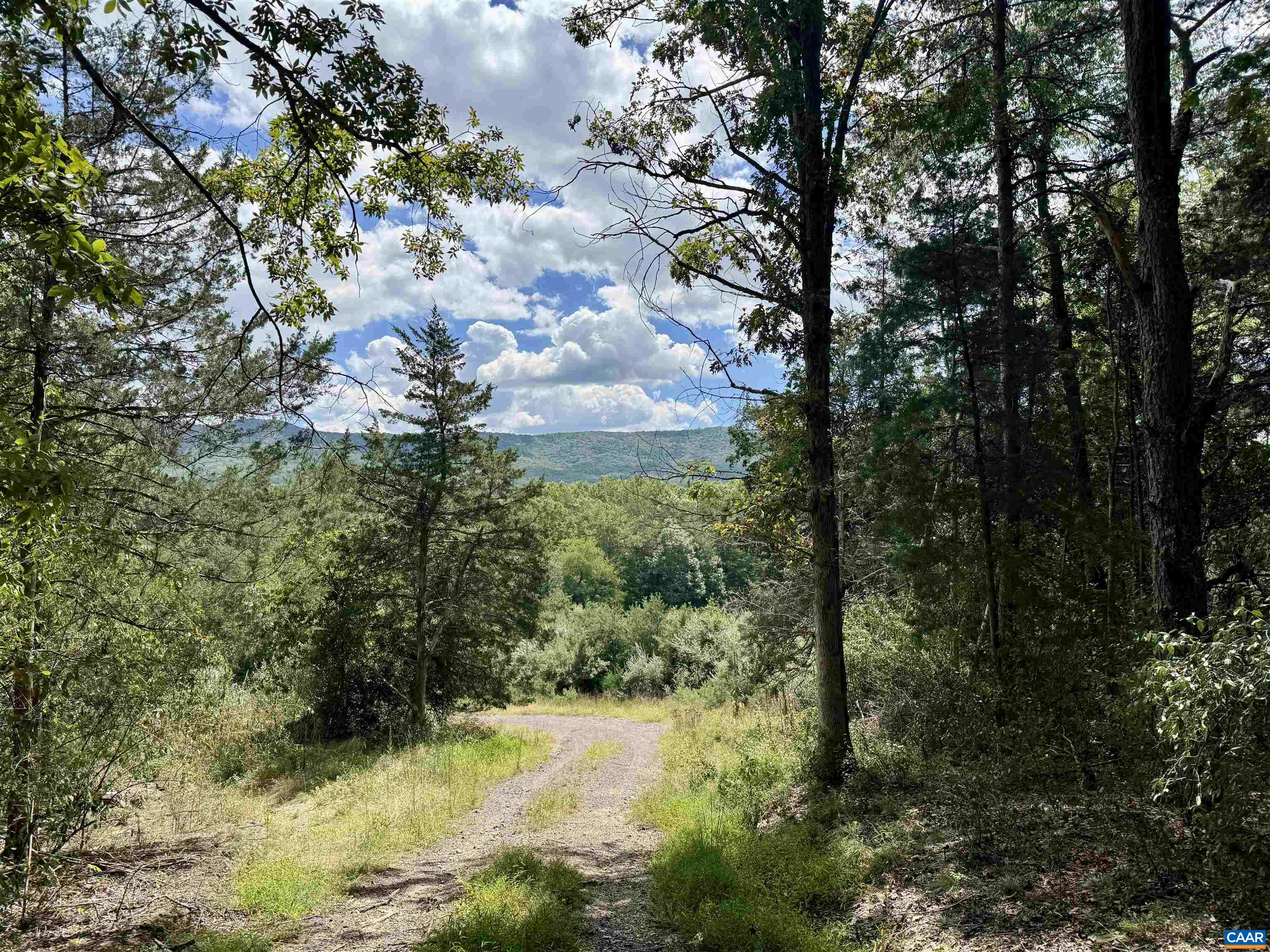 1331 MILLARD BURKE MEMORIAL HWY, GOSHEN, Virginia 24439, 3 Bedrooms Bedrooms, ,3 BathroomsBathrooms,Residential,1331 MILLARD BURKE MEMORIAL HWY,668462 MLS # 668462