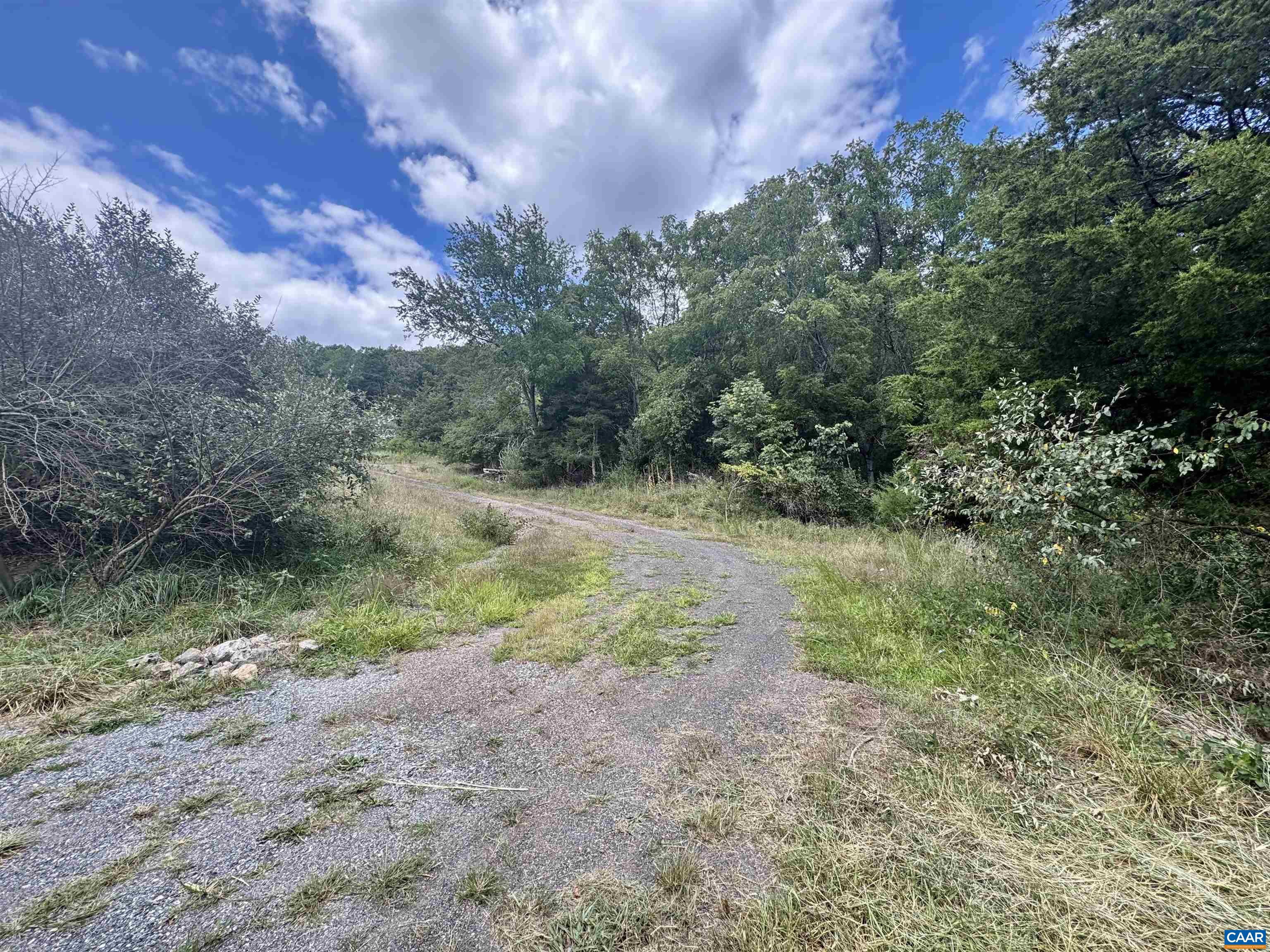 1331 MILLARD BURKE MEMORIAL HWY, GOSHEN, Virginia 24439, 3 Bedrooms Bedrooms, ,3 BathroomsBathrooms,Residential,1331 MILLARD BURKE MEMORIAL HWY,668462 MLS # 668462