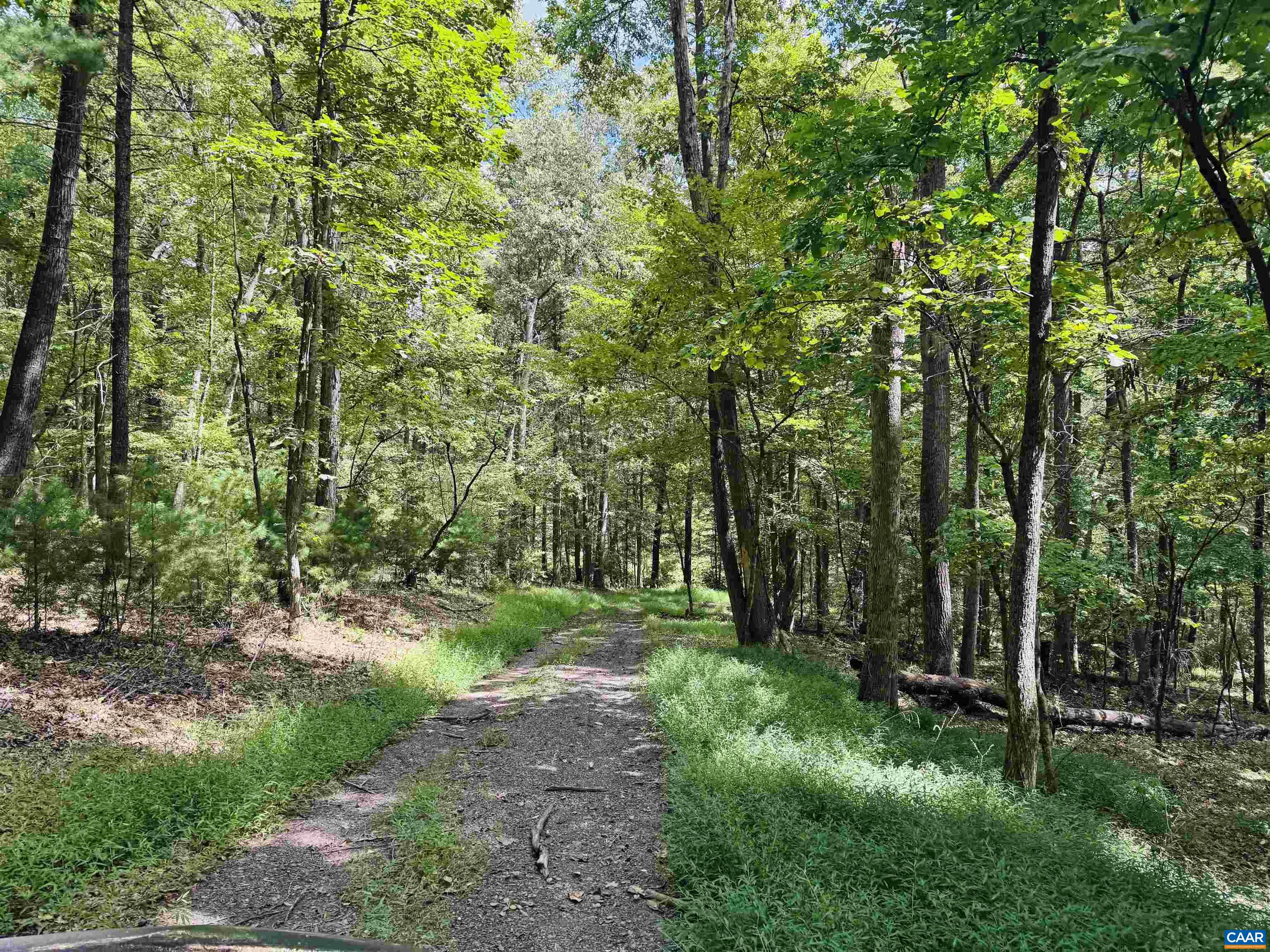 1331 MILLARD BURKE MEMORIAL HWY, GOSHEN, Virginia 24439, 3 Bedrooms Bedrooms, ,3 BathroomsBathrooms,Residential,1331 MILLARD BURKE MEMORIAL HWY,668462 MLS # 668462