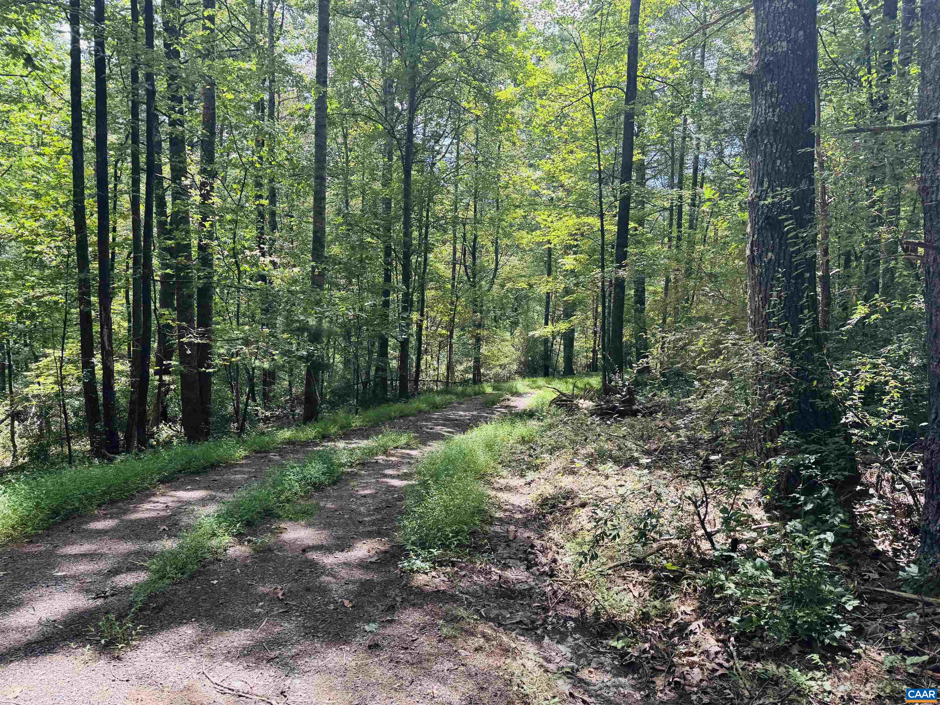 1331 MILLARD BURKE MEMORIAL HWY, GOSHEN, Virginia 24439, 3 Bedrooms Bedrooms, ,3 BathroomsBathrooms,Residential,1331 MILLARD BURKE MEMORIAL HWY,668462 MLS # 668462