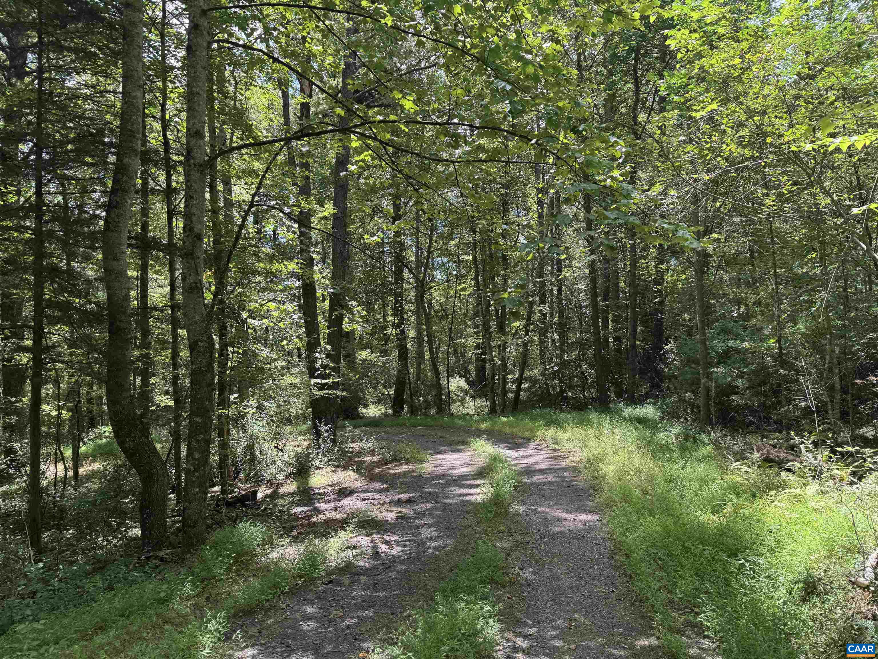 1331 MILLARD BURKE MEMORIAL HWY, GOSHEN, Virginia 24439, 3 Bedrooms Bedrooms, ,3 BathroomsBathrooms,Residential,1331 MILLARD BURKE MEMORIAL HWY,668462 MLS # 668462