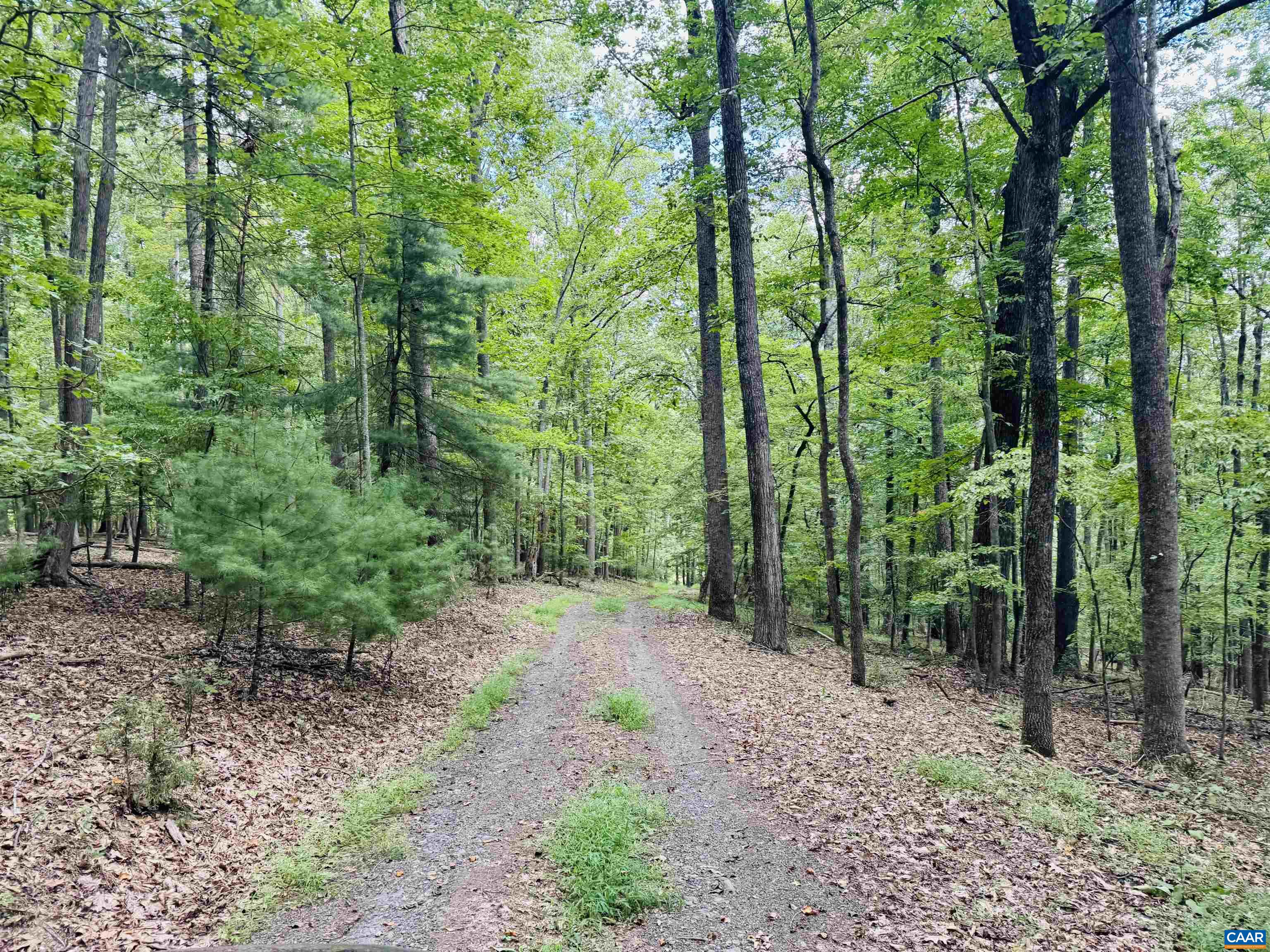 1331 MILLARD BURKE MEMORIAL HWY, GOSHEN, Virginia 24439, 3 Bedrooms Bedrooms, ,3 BathroomsBathrooms,Residential,1331 MILLARD BURKE MEMORIAL HWY,668462 MLS # 668462