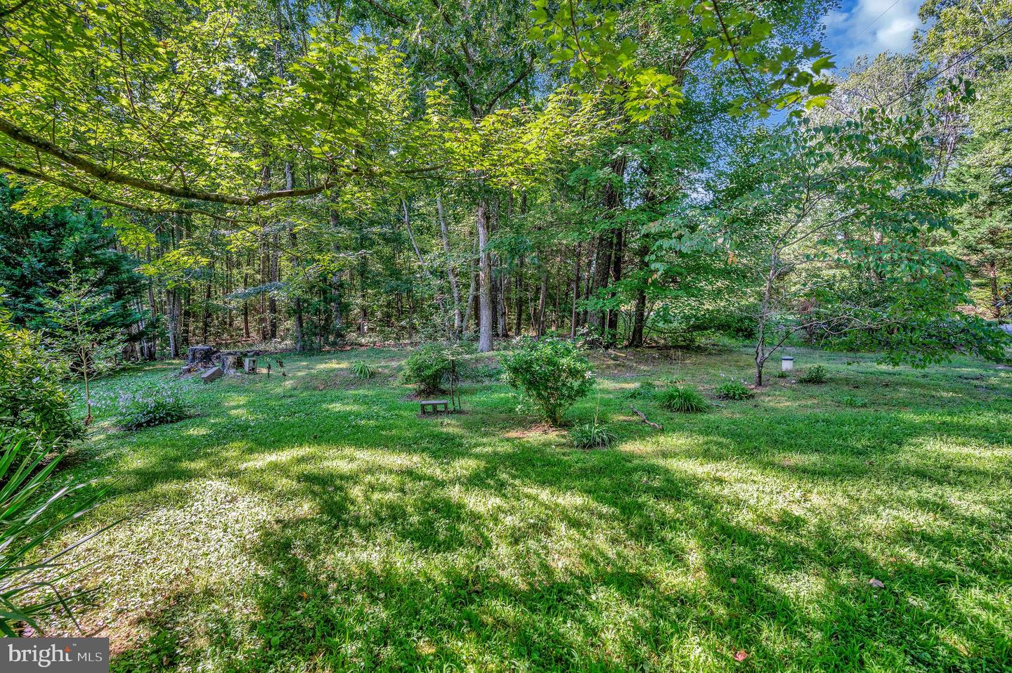 13500 SHANNON HILL RD, LOUISA, Virginia 23093, 3 Bedrooms Bedrooms, ,2 BathroomsBathrooms,Residential,For sale,13500 SHANNON HILL RD,VALA2008510 MLS # VALA2008510