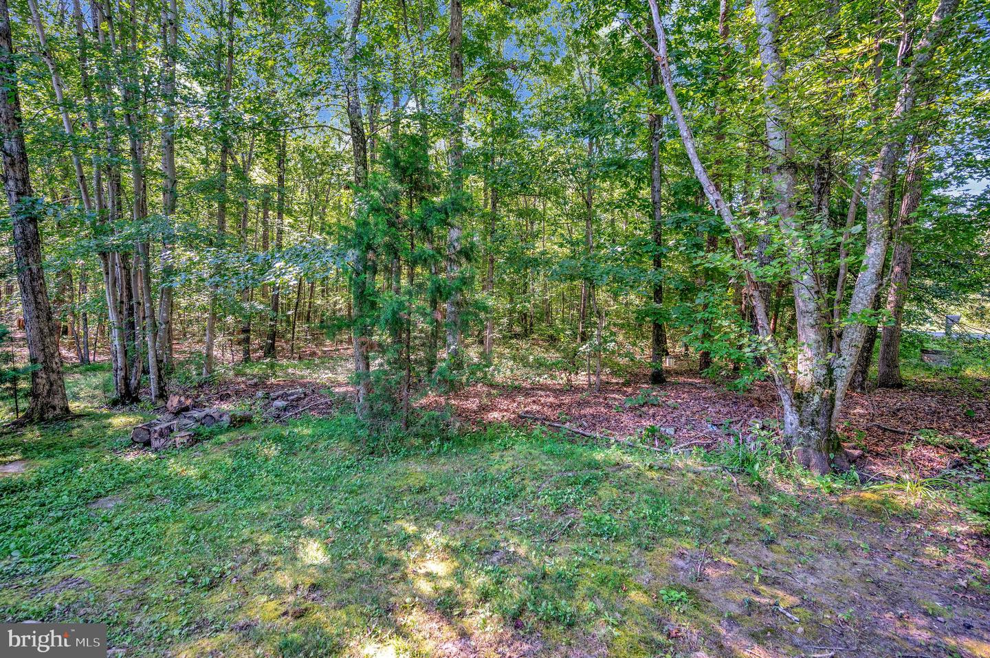 13500 SHANNON HILL RD, LOUISA, Virginia 23093, 3 Bedrooms Bedrooms, ,2 BathroomsBathrooms,Residential,For sale,13500 SHANNON HILL RD,VALA2008510 MLS # VALA2008510