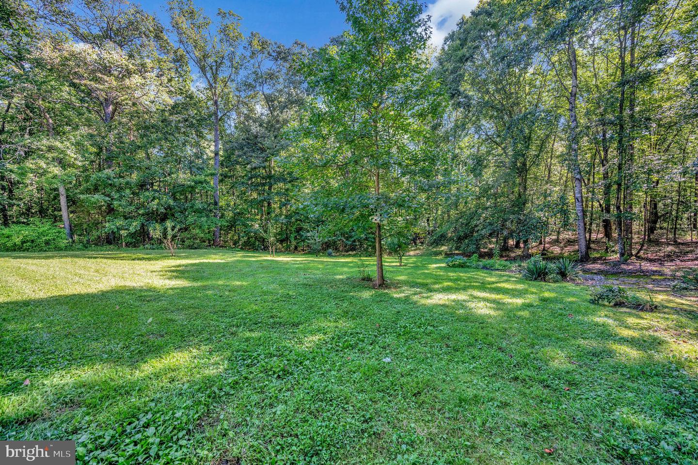13500 SHANNON HILL RD, LOUISA, Virginia 23093, 3 Bedrooms Bedrooms, ,2 BathroomsBathrooms,Residential,For sale,13500 SHANNON HILL RD,VALA2008510 MLS # VALA2008510