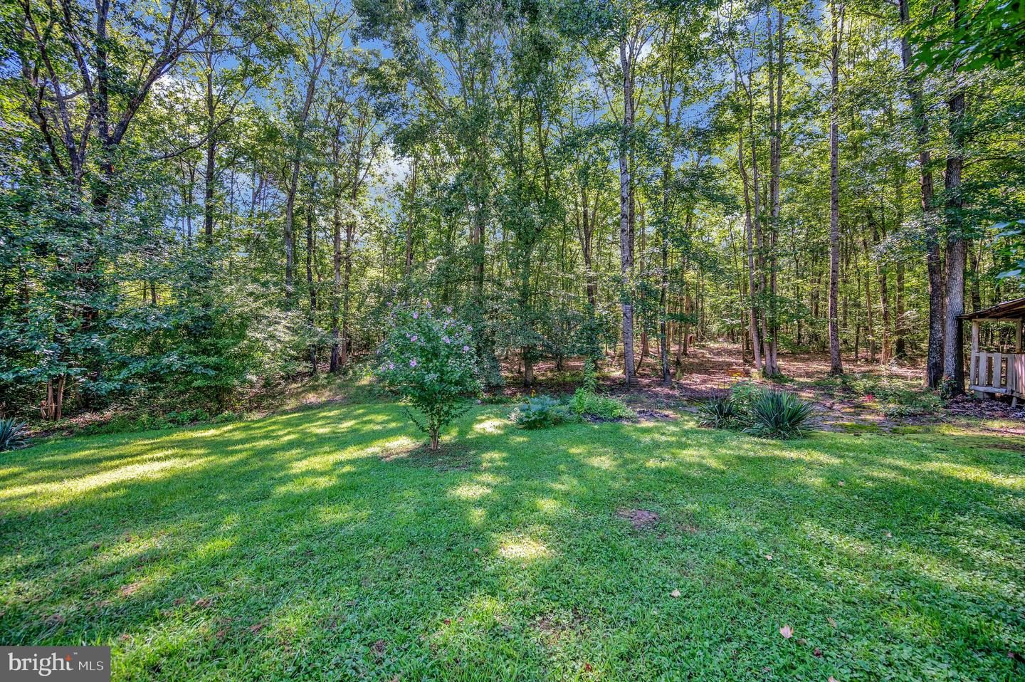 13500 SHANNON HILL RD, LOUISA, Virginia 23093, 3 Bedrooms Bedrooms, ,2 BathroomsBathrooms,Residential,For sale,13500 SHANNON HILL RD,VALA2008510 MLS # VALA2008510