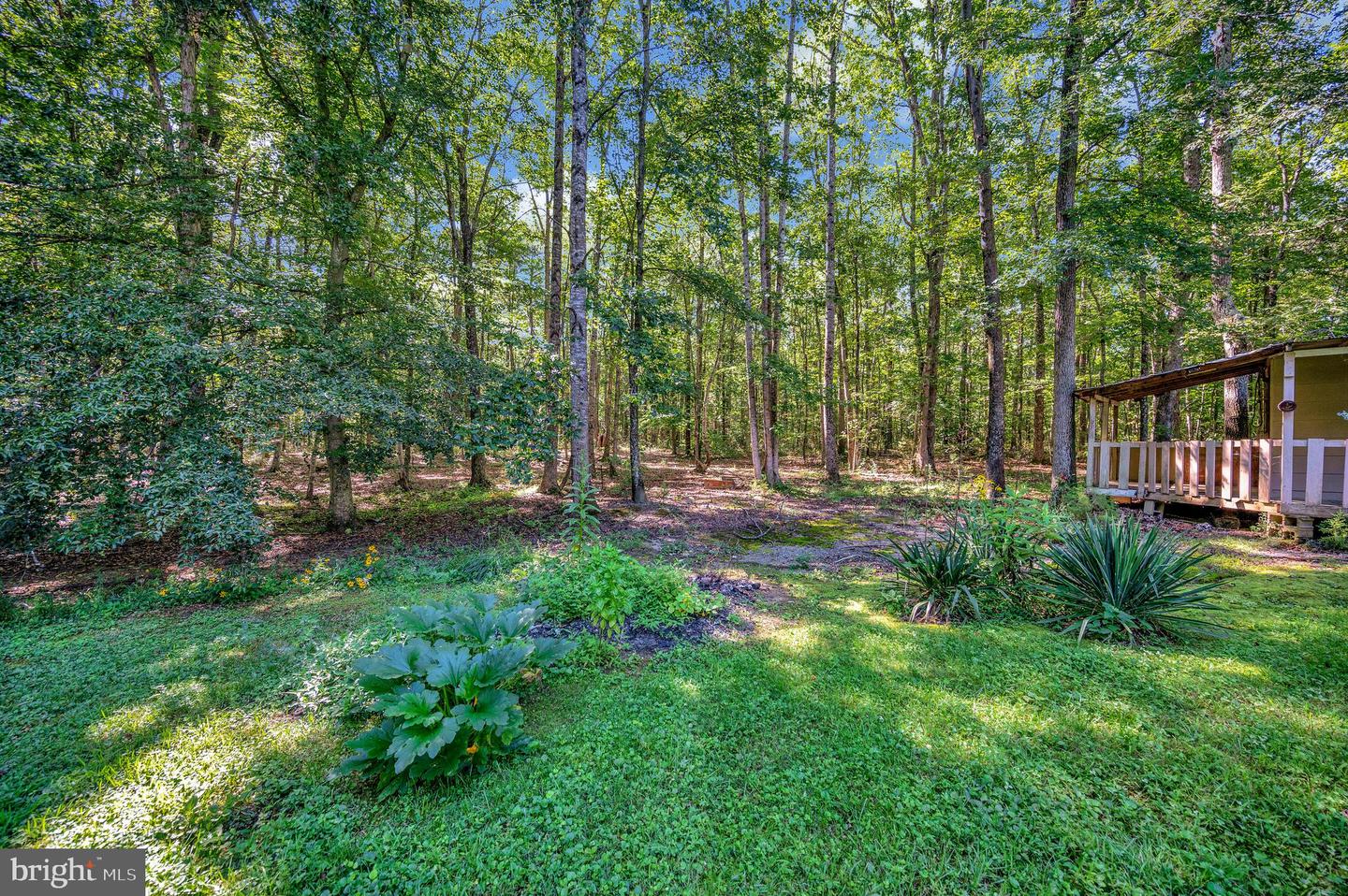 13500 SHANNON HILL RD, LOUISA, Virginia 23093, 3 Bedrooms Bedrooms, ,2 BathroomsBathrooms,Residential,For sale,13500 SHANNON HILL RD,VALA2008510 MLS # VALA2008510