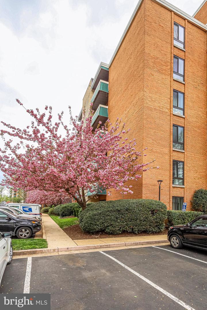 6141 LEESBURG PIKE #202, FALLS CHURCH, Virginia 22041, 1 Bedroom Bedrooms, ,1 BathroomBathrooms,Residential,For sale,6141 LEESBURG PIKE #202,VAFX2264360 MLS # VAFX2264360