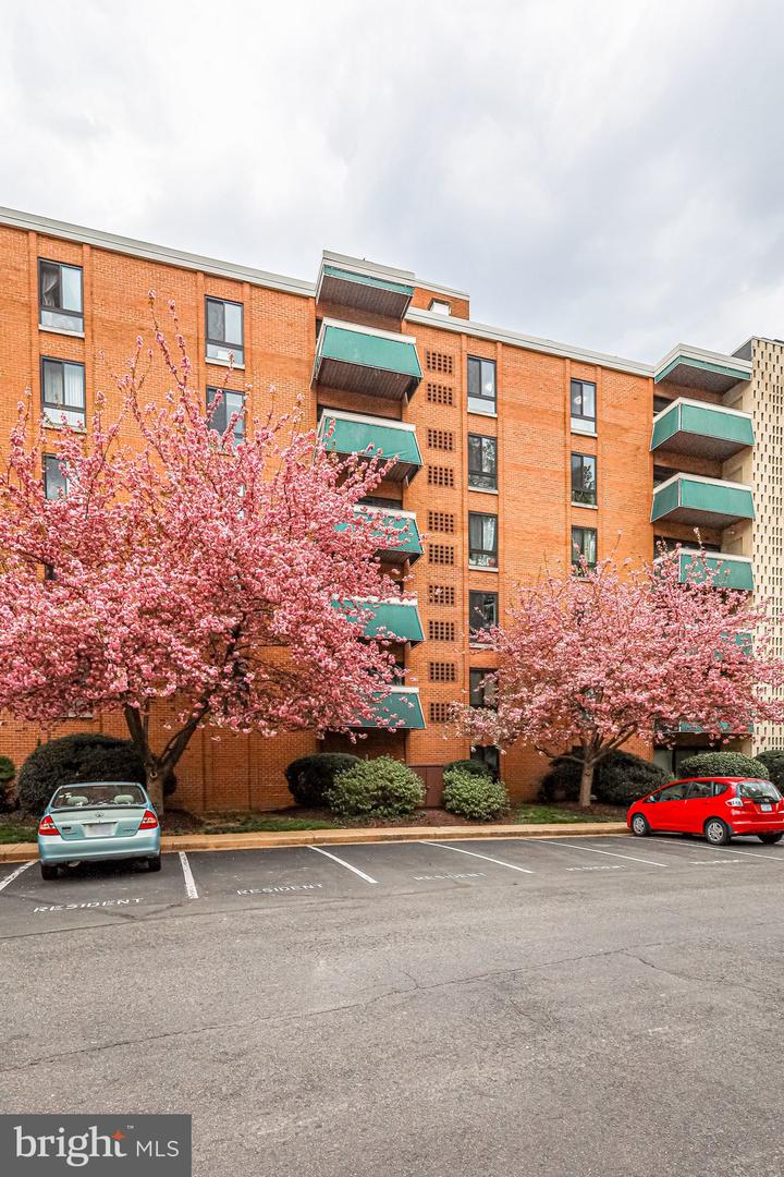 6141 LEESBURG PIKE #202, FALLS CHURCH, Virginia 22041, 1 Bedroom Bedrooms, ,1 BathroomBathrooms,Residential,For sale,6141 LEESBURG PIKE #202,VAFX2264360 MLS # VAFX2264360
