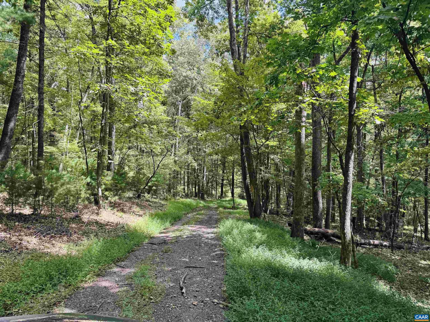 1331 MILLARD BURKE MEMORIAL HWY, GOSHEN, Virginia 24439, 3 Bedrooms Bedrooms, ,3 BathroomsBathrooms,Residential,For sale,1331 MILLARD BURKE MEMORIAL HWY,668462 MLS # 668462
