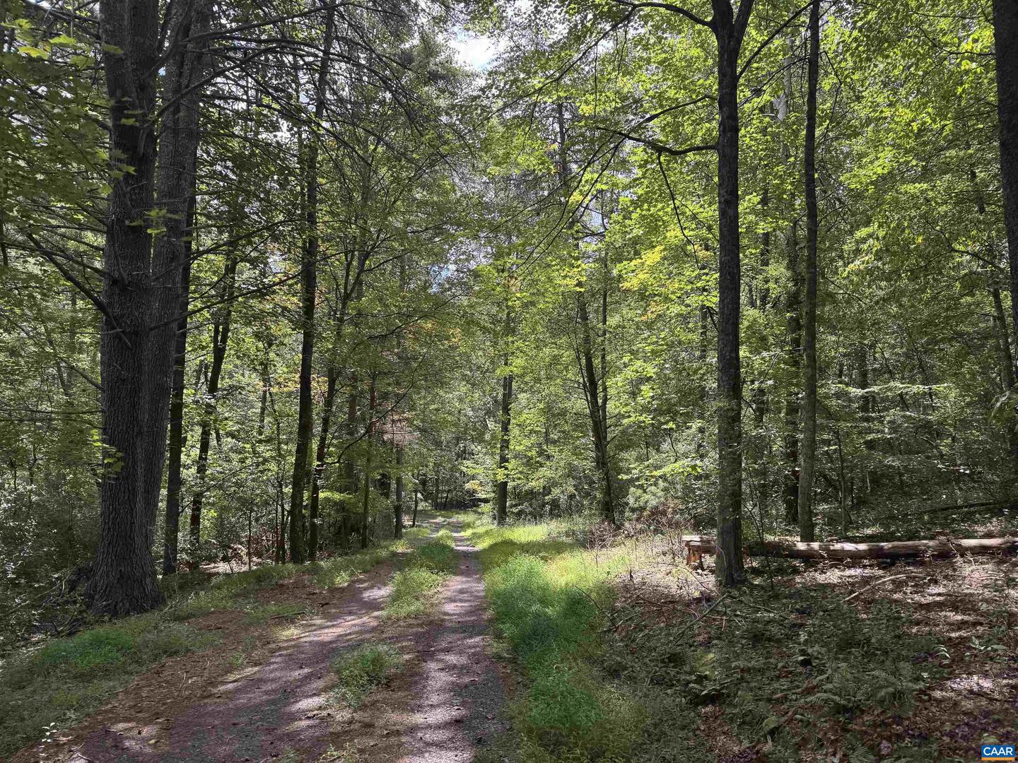 1331 MILLARD BURKE MEMORIAL HWY, GOSHEN, Virginia 24439, 3 Bedrooms Bedrooms, ,3 BathroomsBathrooms,Residential,For sale,1331 MILLARD BURKE MEMORIAL HWY,668462 MLS # 668462
