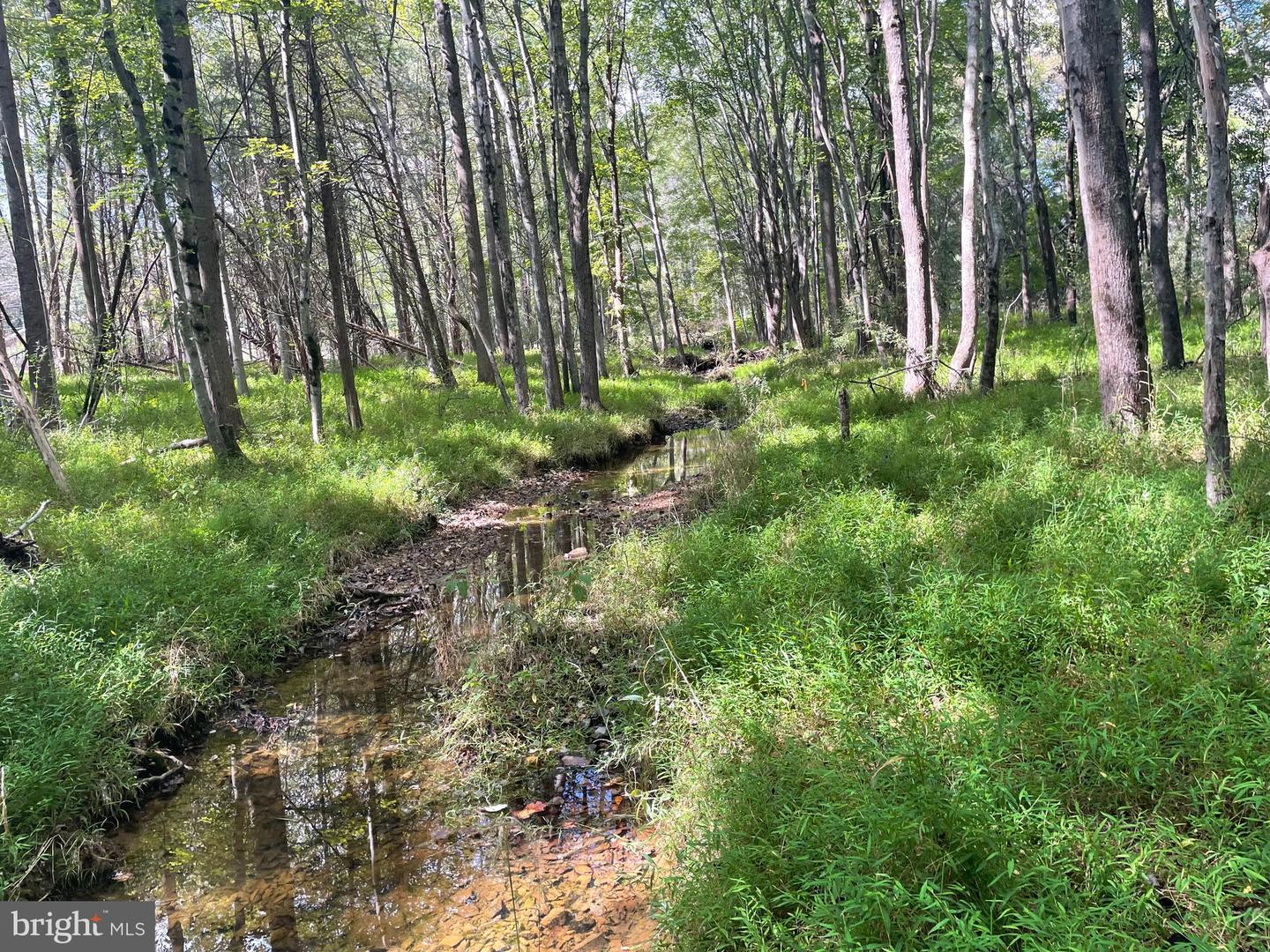 7329 RILEY RD, WARRENTON, Virginia 20187, 4 Bedrooms Bedrooms, ,3 BathroomsBathrooms,Residential,For sale,7329 RILEY RD,VAFQ2018132 MLS # VAFQ2018132 7329 RILEY RD, WARRENTON, Virginia 20187, 4 Bedrooms Bedrooms, ,3 BathroomsBathrooms,Residential,For sale,7329 RILEY RD,VAFQ2018132 MLS # VAFQ2018132