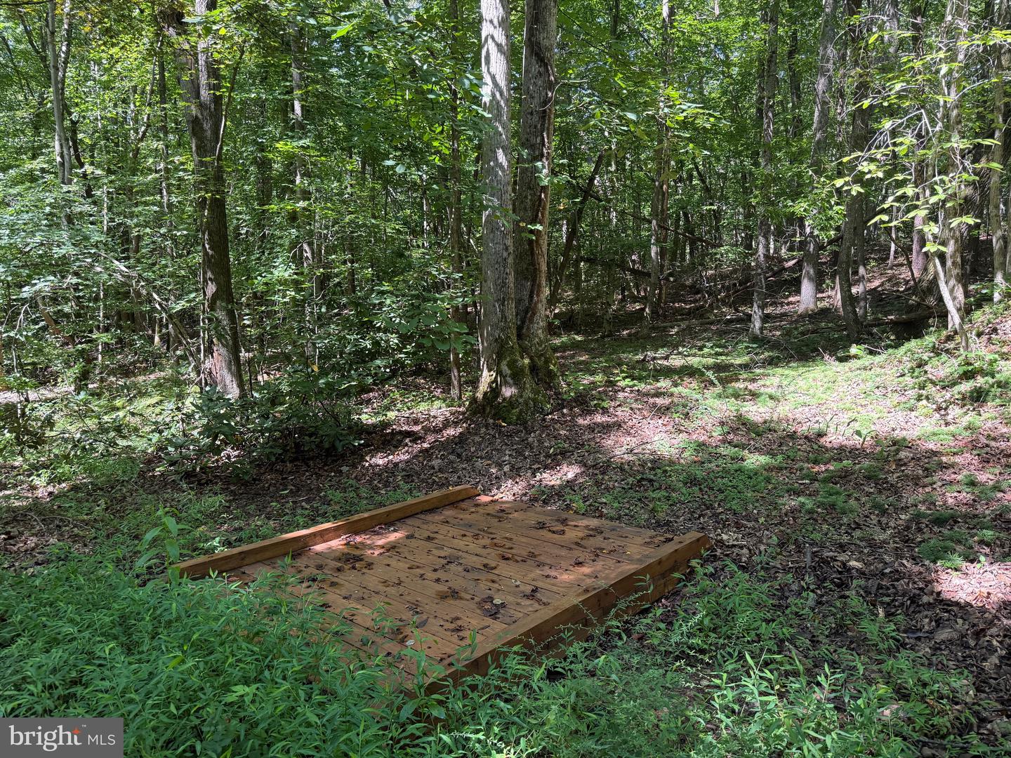 2082 LITTLE DOGWOOD ROAD, SPOUT SPRING, Virginia 24593, 2 Bedrooms Bedrooms, ,2 BathroomsBathrooms,Farm,For sale,2082 LITTLE DOGWOOD ROAD,VAAV2000034 MLS # VAAV2000034