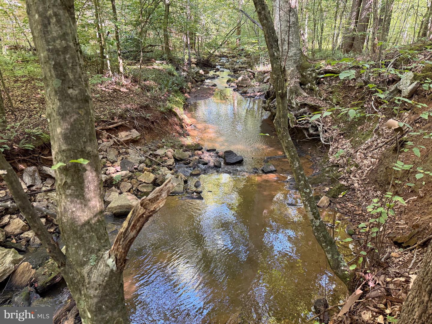 2082 LITTLE DOGWOOD ROAD, SPOUT SPRING, Virginia 24593, 2 Bedrooms Bedrooms, ,2 BathroomsBathrooms,Farm,For sale,2082 LITTLE DOGWOOD ROAD,VAAV2000034 MLS # VAAV2000034
