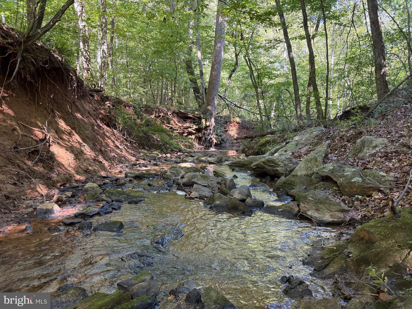 2082 LITTLE DOGWOOD ROAD, SPOUT SPRING, Virginia 24593, 2 Bedrooms Bedrooms, ,2 BathroomsBathrooms,Farm,For sale,2082 LITTLE DOGWOOD ROAD,VAAV2000034 MLS # VAAV2000034