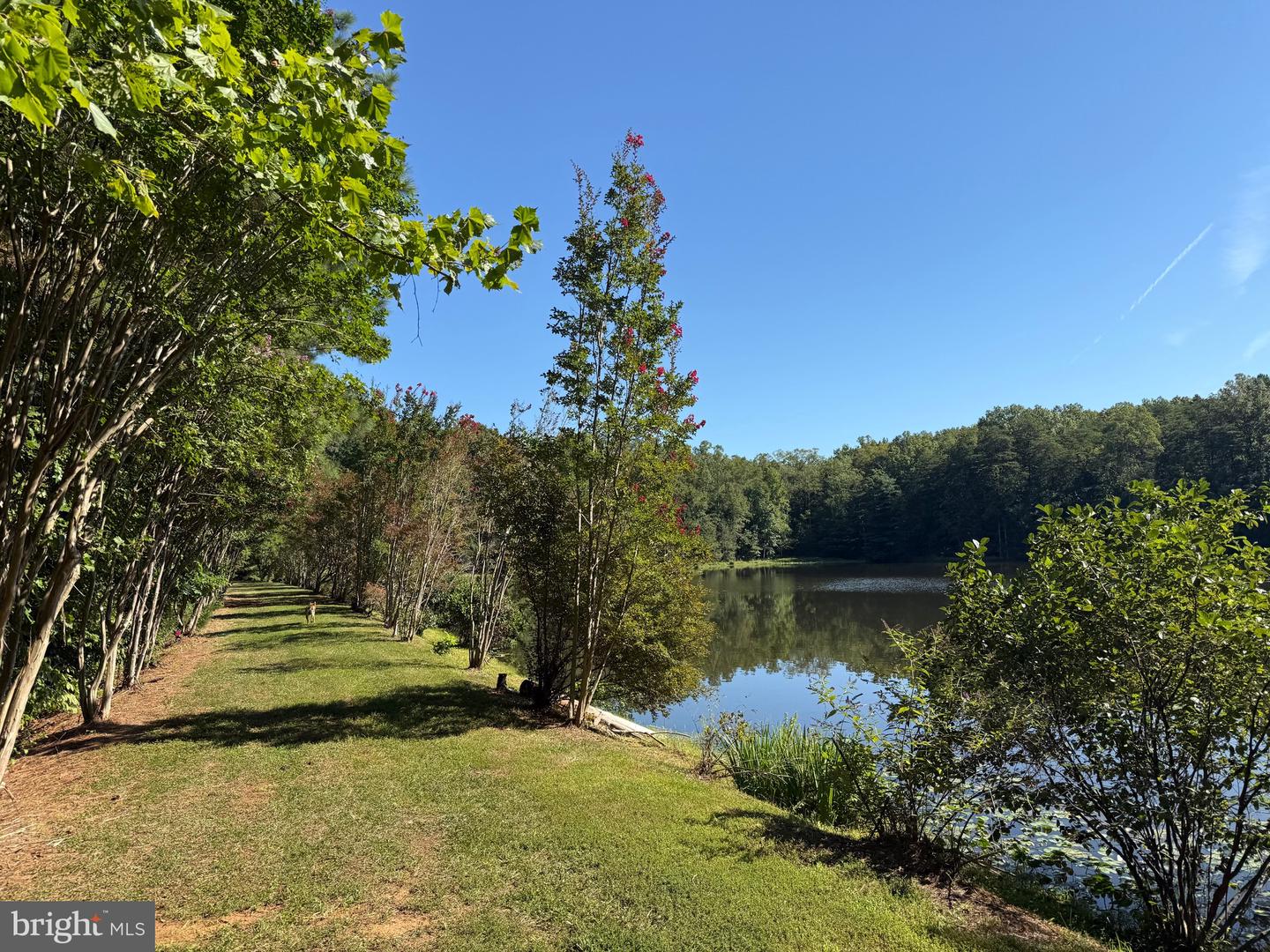 2082 LITTLE DOGWOOD ROAD, SPOUT SPRING, Virginia 24593, 2 Bedrooms Bedrooms, ,2 BathroomsBathrooms,Farm,For sale,2082 LITTLE DOGWOOD ROAD,VAAV2000034 MLS # VAAV2000034